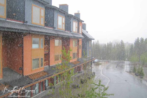 snowing-banff-canmore-july-summer-months-canada-rocky-mountains-unpredictable-weather-temperature
