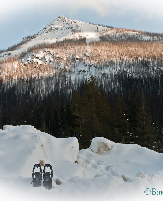 snow-shoes-sitting-in-snow-with-mountain-in-background