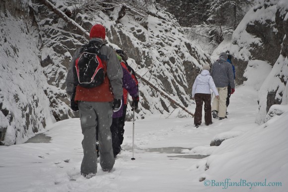 hikers-winter-frozen-creek-grotto-canyon-backpack-snowing-ice-valley-canmore-alberta-back-country