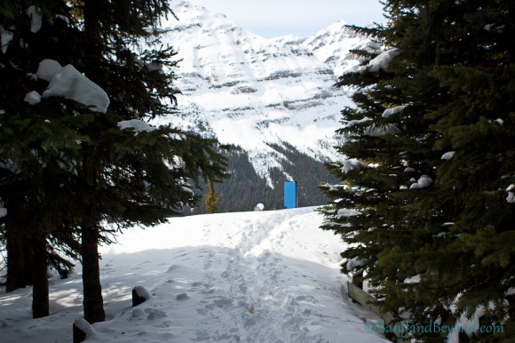 snow-covered-trail-peyto-lake-lookout-mountain-views-winter-bow-summit-trees