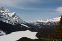 Bow Summit And Peyto Lake Lookout In Winter