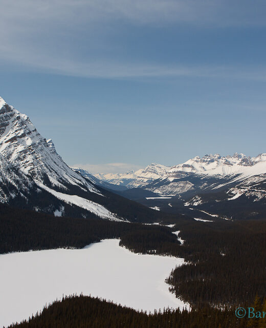 peyto-lake-april-view-lookout-icefields-parkway-banff-bow-summit