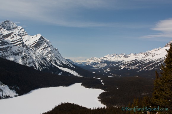 winter-view-snow-capped-mountains-peyto-lake-lookout-platform-mistaya-canyon-valley-bow-summit-icefields-parkway-banff-national-park