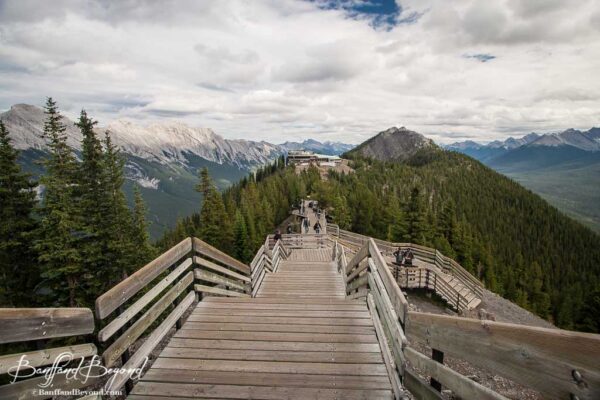 wooden walkways on top of sulphur mountain leading to gondola