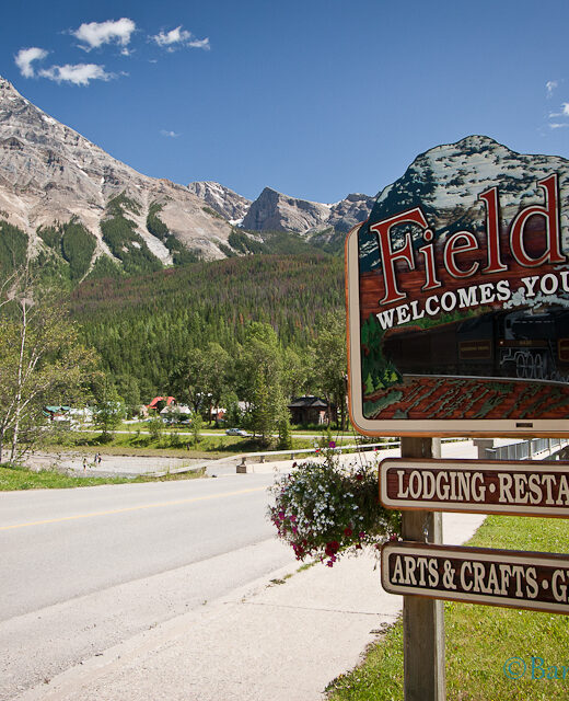 field-welcomes-you-sign-lodging-restaurants-groceries-crafts-mountains-road-trees-town-yoho-national-park-british-columbia