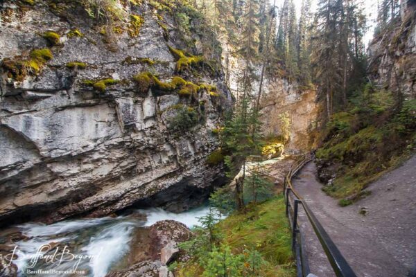 hiking trail in johnston canyon in banff