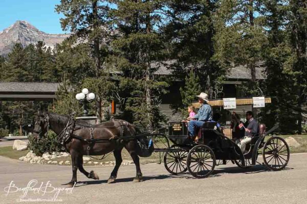 horse drawn wagon in lake louise canada day parade