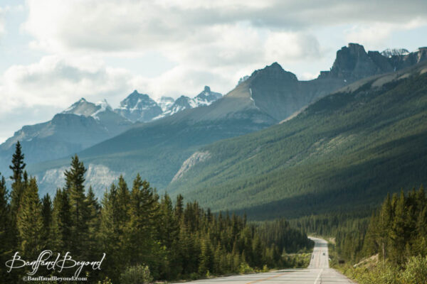 majestic mountain views along the icefields parkway