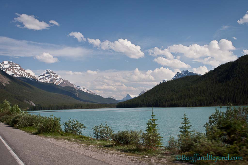 waterfowl lakes seen from the icefields parkway