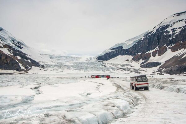 ice explorers at the columbia icefields glacier