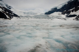 blue coloured frozen ice of the athabasca glacier