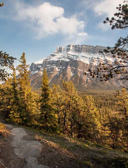 fall-foilage-banff-rocky-mountains-golder-yellow-colours