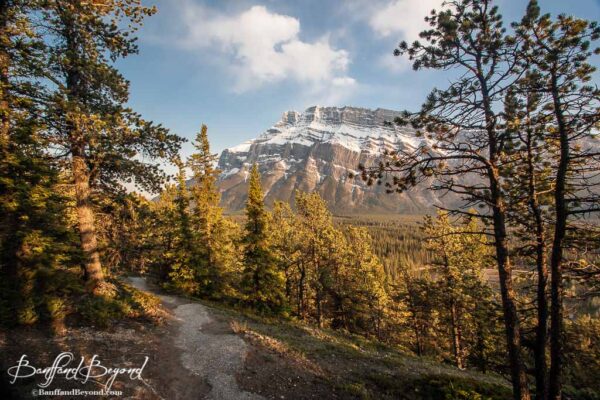 fall-foilage-banff-rocky-mountains-golder-yellow-colours