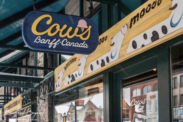 cows banff canada ice cream shop