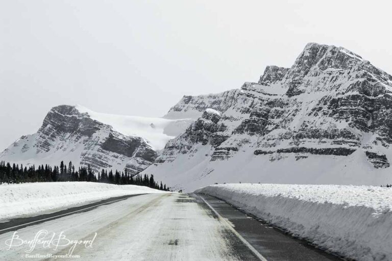 icefields parkway road conditions in winter