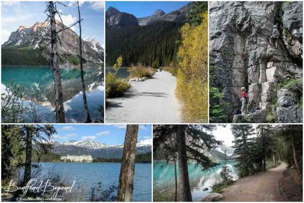 views from lake louise shoreline trail
