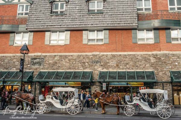 horse-drawn-carriages-downtown-banff-tourist-attraction-sight-seeing