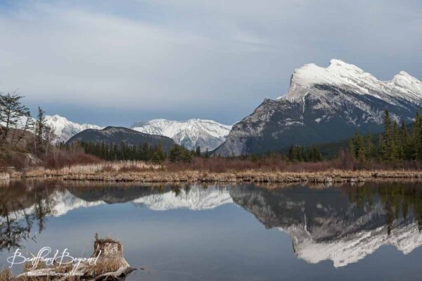 vermillion lakes and mount rundle reflection