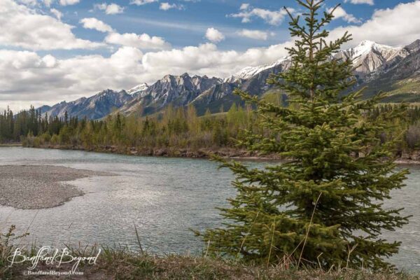 bow-river-loop-easy-canmore-walk-scenic-mountain-views