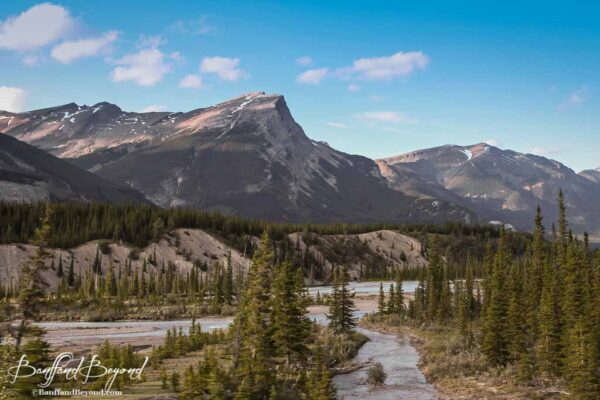 channels of the athabasca river and mountains in jasper