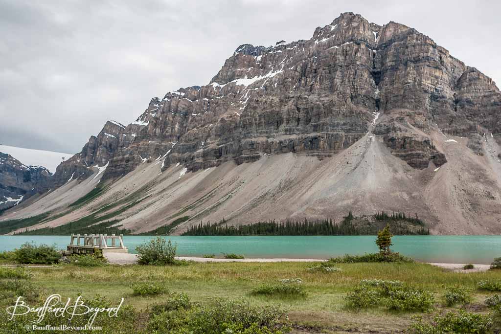 turquoise water and towering mountain at bow lake on the icefields parkway