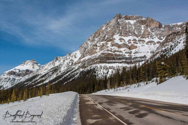 icefields parkway in winter