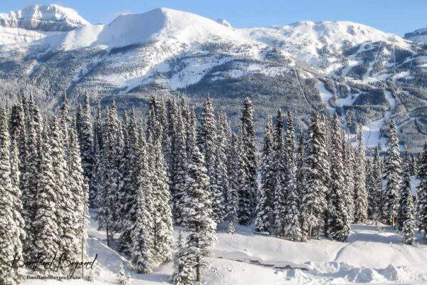 ski-hill-lake-louise-resort-slopes-runs-big-dumps-powder-snowboard-epic-beautiful-winter-scenery