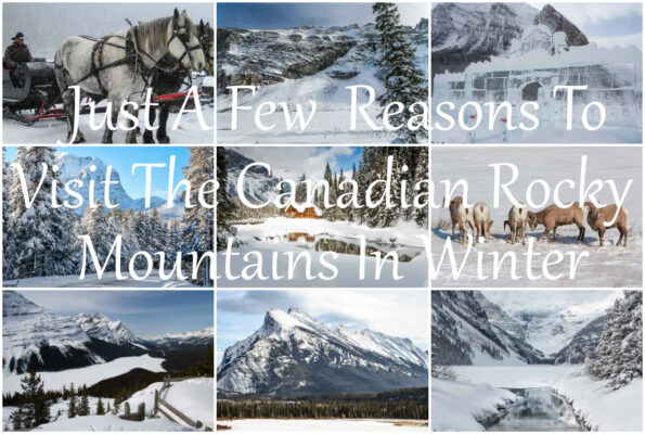 Canadian Rockies Winter Visit