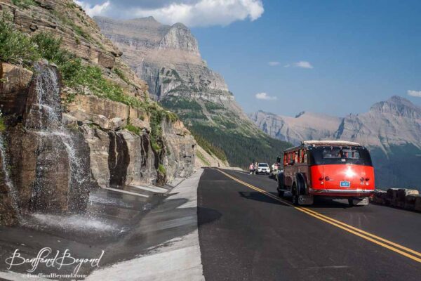 red jammer tour buses on the going to the sun road