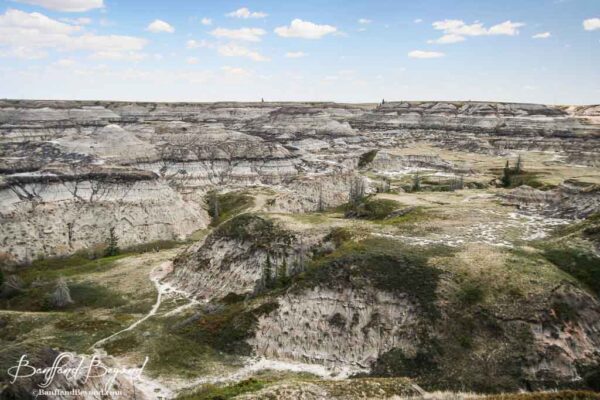 horsethief-canyon-drumheller-panoramic-views-coulees-dinosaur-trail-driving-route