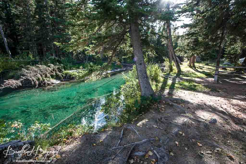 fenland trail banff national paark