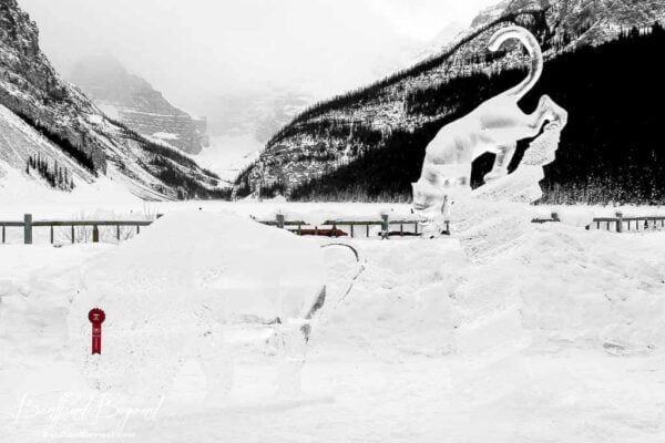 Tips For 2024 Lake Louise Ice Magic Festival | BanffandBeyond